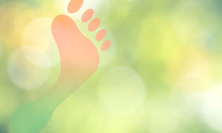 What is a carbon footprint and why is it important to know yours ...